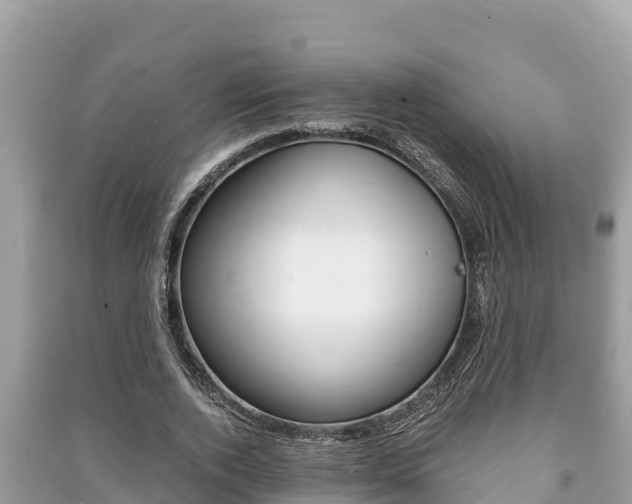 X0000091220728200708091136