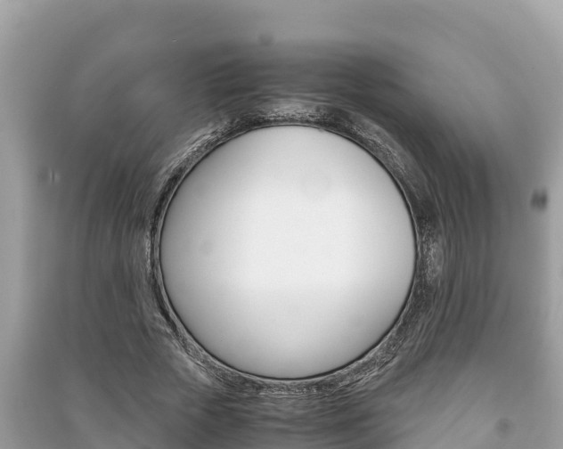 X0000091220729200708091136