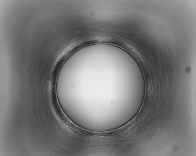 X0000091220730200708091136
