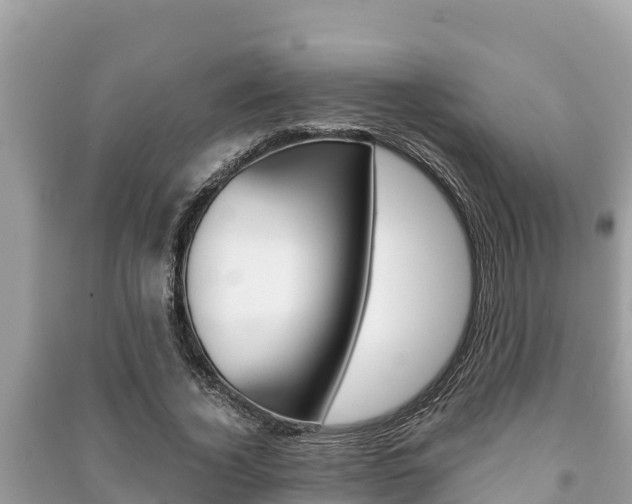 X0000091220732200708091136