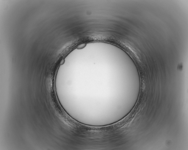 X0000091220733200708091136