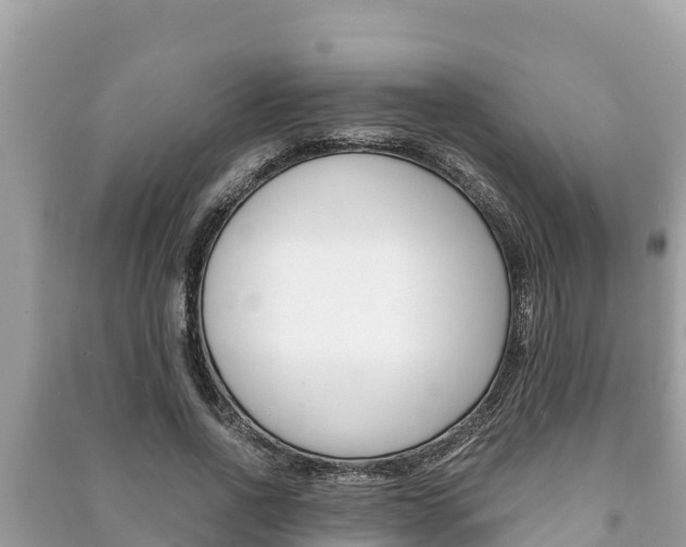 X0000091220734200708091136