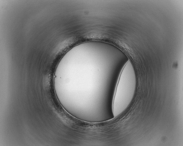 X0000091220735200708091136