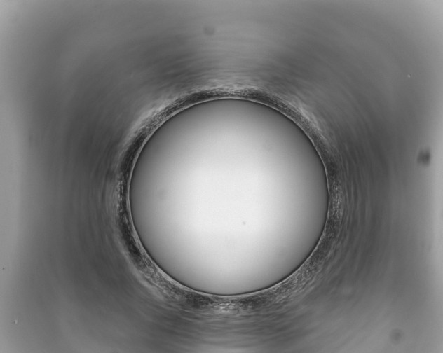 X0000091220736200708091136