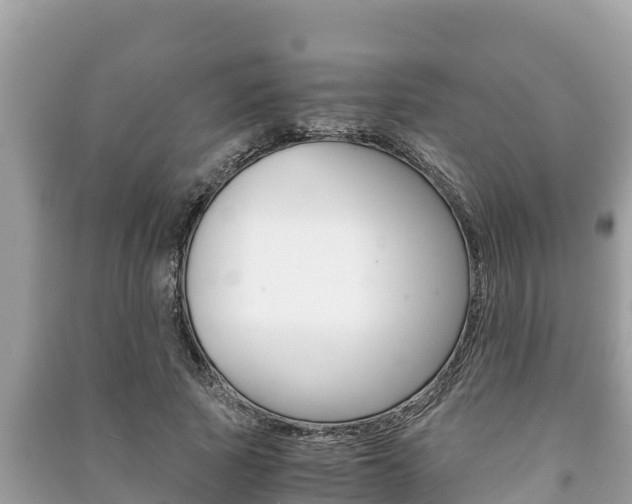X0000091220737200708091136