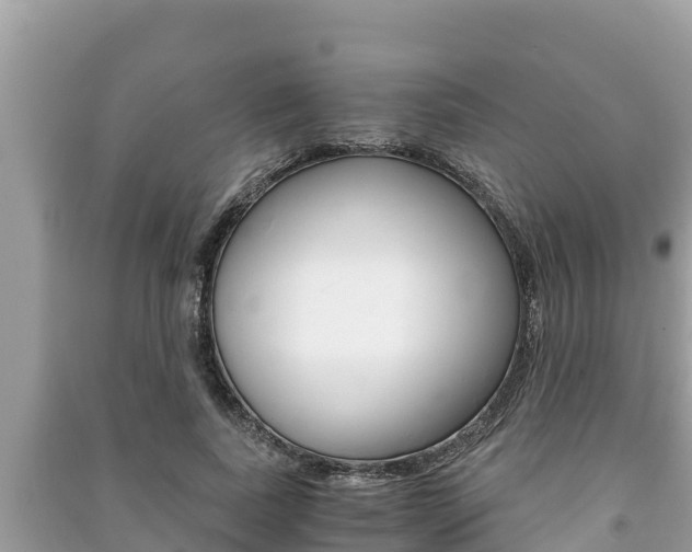 X0000091220739200708091136