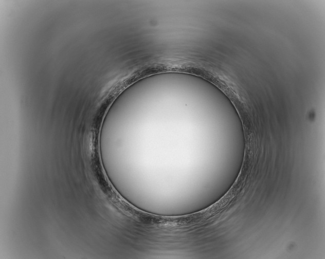 X0000091220740200708091136