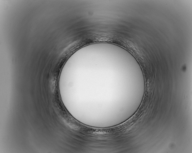 X0000091220741200708091136
