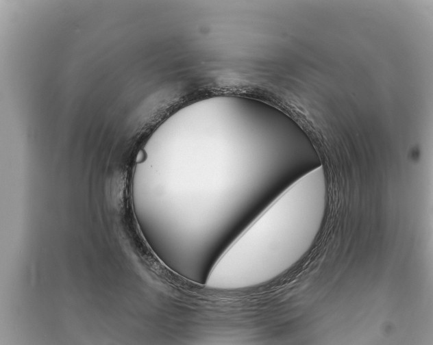 X0000091220742200708091136