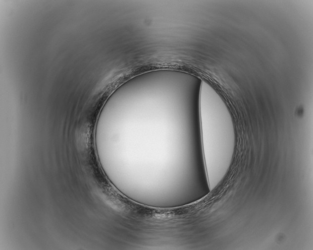 X0000091220744200708091136