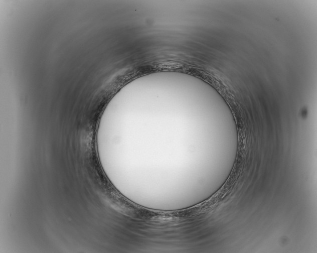 X0000091220745200708091136