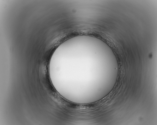 X0000091220746200708091136