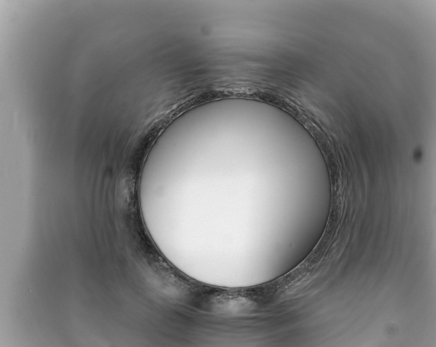X0000091220747200708091136