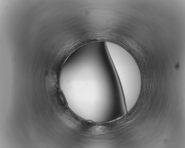 X0000091220748200708091136