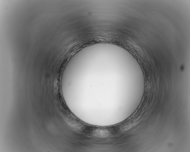X0000091220749200708091136