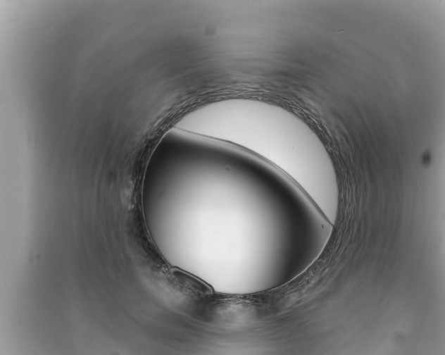 X0000091220750200708091136