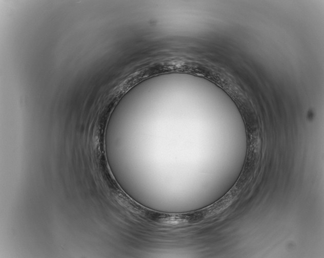 X0000091220754200708091136