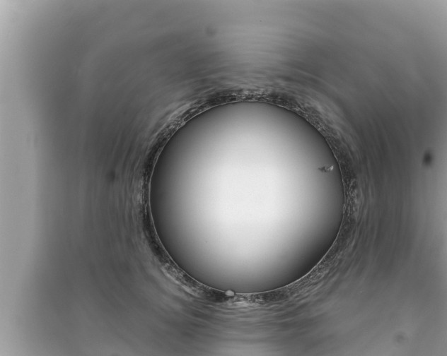 X0000091220756200708091136