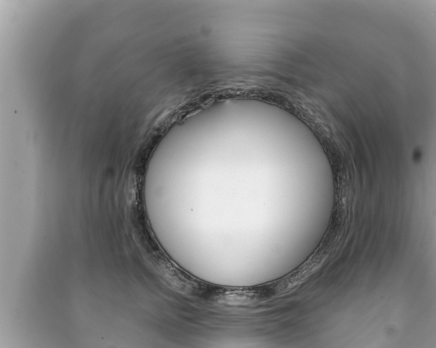 X0000091220758200708091136