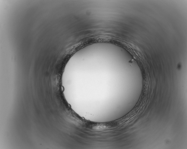 X0000091220759200708091136