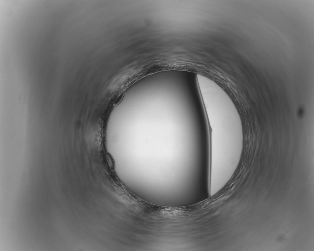 X0000091220762200708091136
