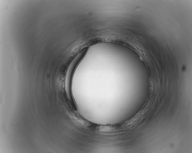 X0000091220766200708091137