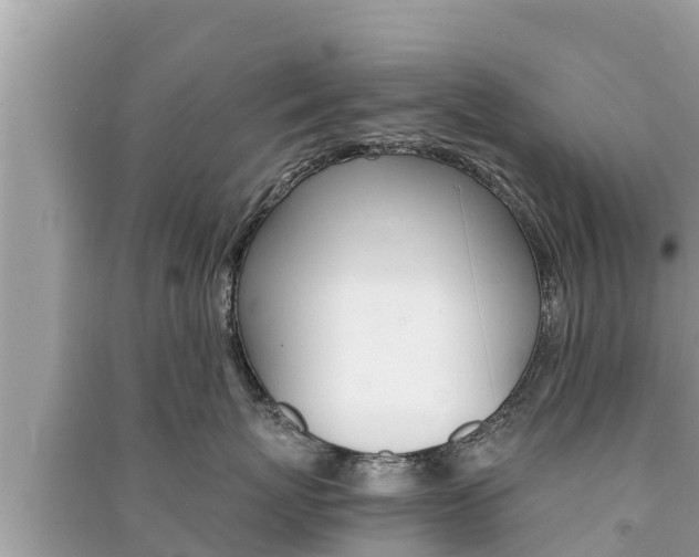 X0000091220767200708091137