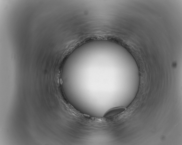 X0000091220768200708091137