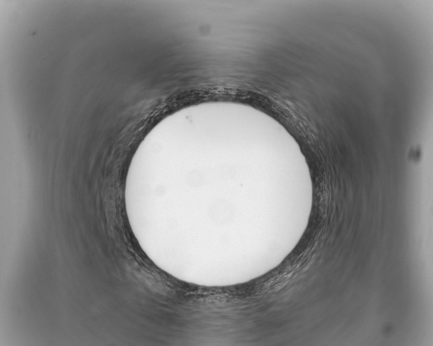 X0000091220769200708091136