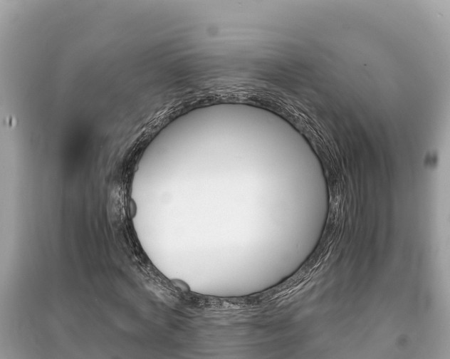 X0000091220772200708091136