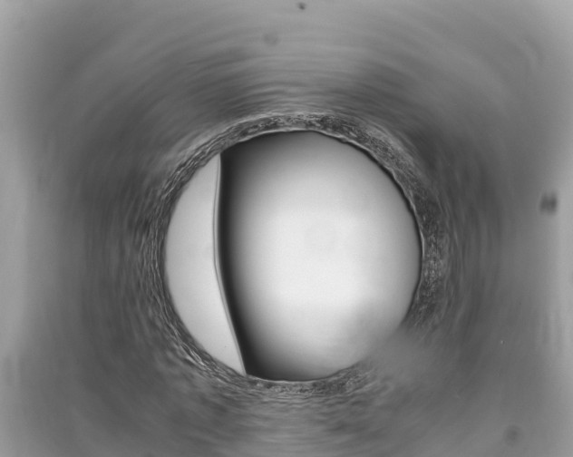 X0000091220773200708091136