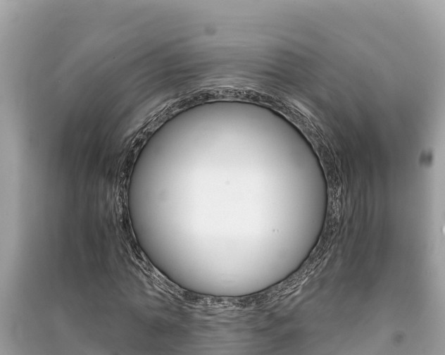 X0000091220774200708091136