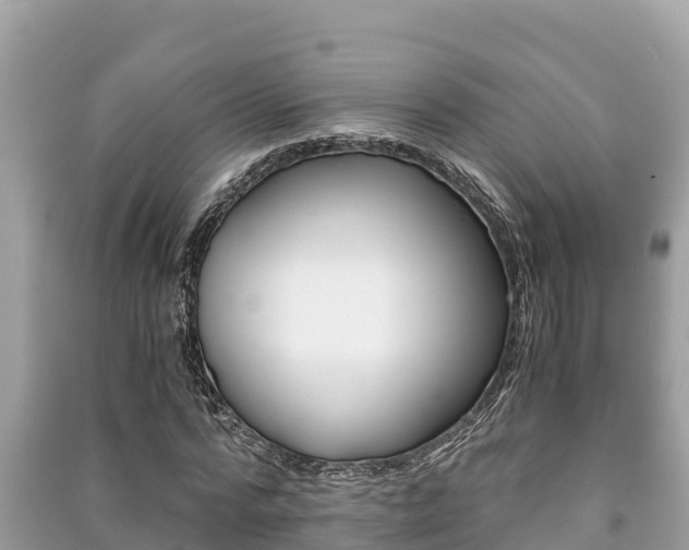 X0000091220776200708091136