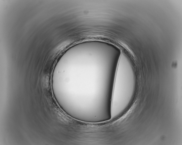 X0000091220777200708091136
