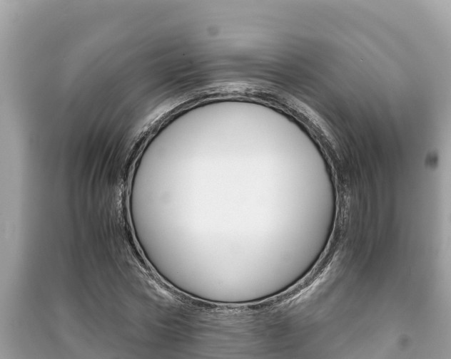 X0000091220778200708091136