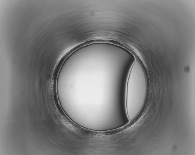 X0000091220779200708091136
