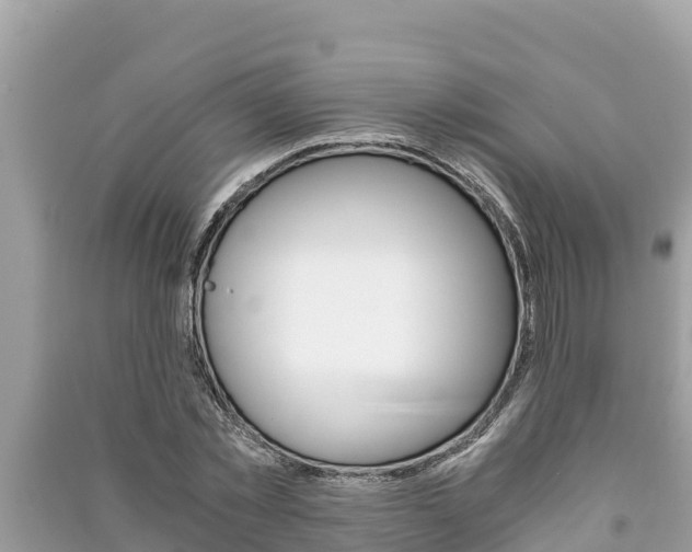 X0000091220781200708091136