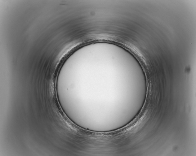 X0000091220782200708091136