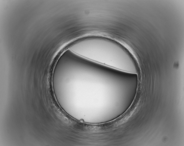 X0000091220783200708091136