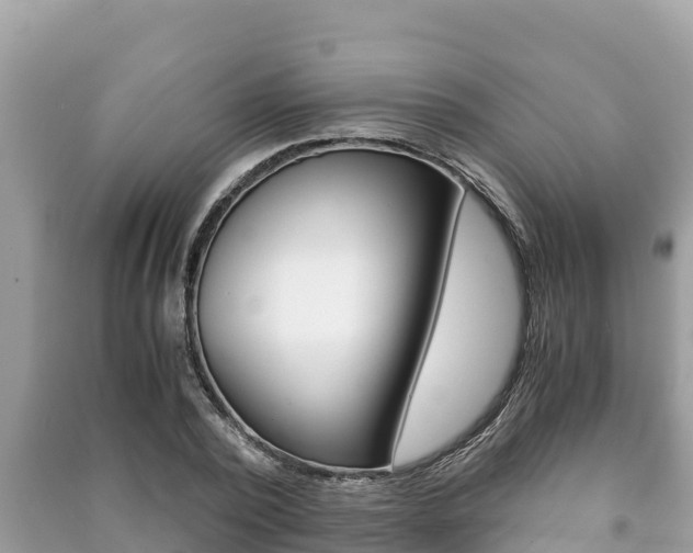X0000091220784200708091136