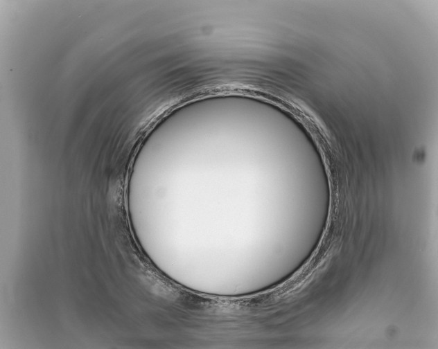 X0000091220785200708091136