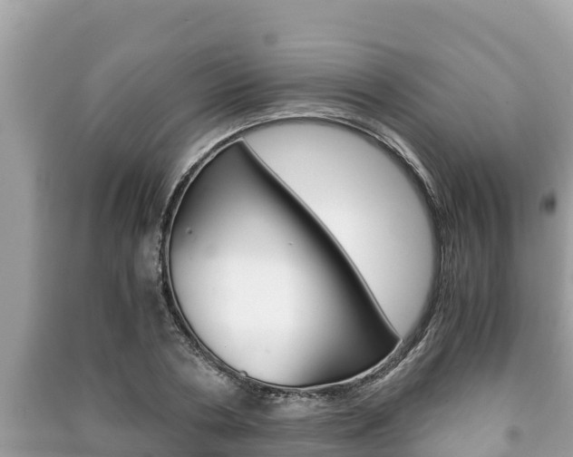 X0000091220786200708091136