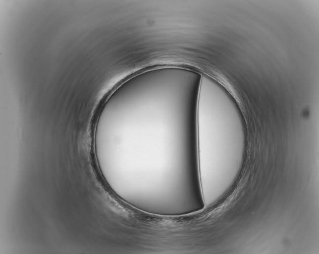 X0000091220787200708091136