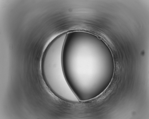 X0000091220788200708091136