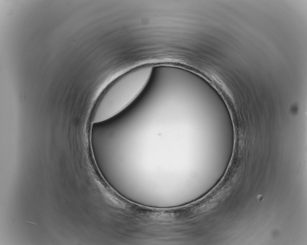X0000091220789200708091136