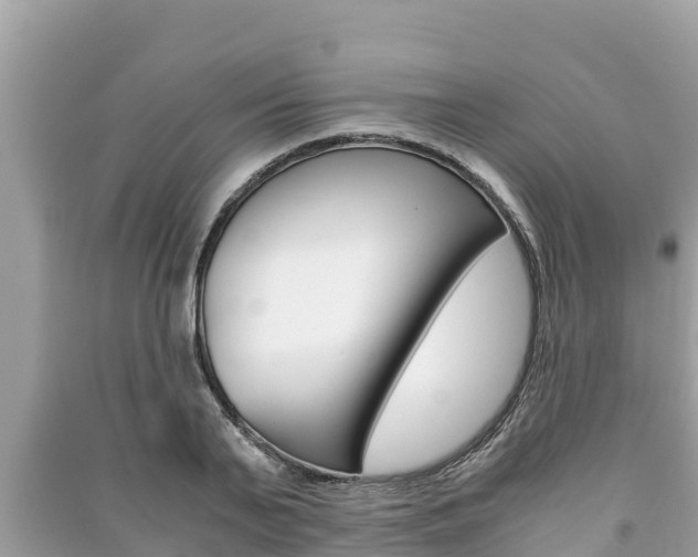 X0000091220791200708091136