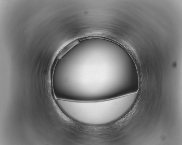 X0000091220792200708091136