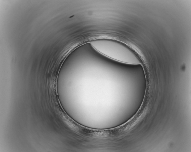 X0000091220793200708091136