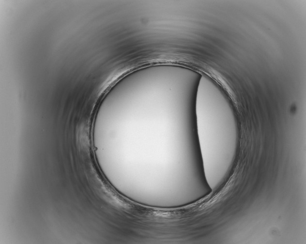 X0000091220794200708091136
