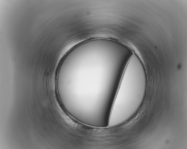 X0000091220795200708091136